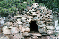 Rio Grande National Forest 036 thumbnail