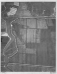 Lower Jones Tract thumbnail