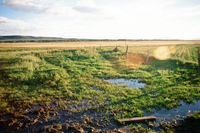 Irrigation ditch 016 thumbnail