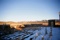 Logging protests 026 thumbnail