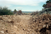 Maistas farm, Ditch and cattle 030 thumbnail