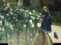 Roses thumbnail