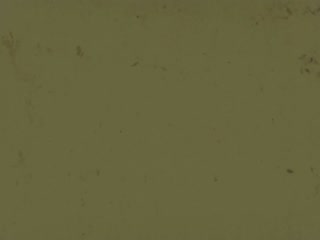 The seventeenth Poly Royal, 1949 thumbnail