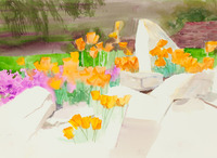 Poppies and Rocks thumbnail