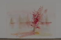 Fall Color Burst thumbnail