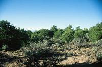 Gallegos farm, Landscapes 008 thumbnail