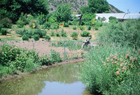 Montoya farm, Hay baling 003 thumbnail