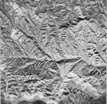 1950 ABI-14G-126 [Fresno County, California aerial survey, 1950]. thumbnail