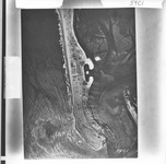 SLC_63_NoDate_59C1 [San Diego County, California State Lands Commission, 1928] thumbnail