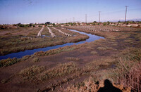 Pt. Mugu Wetlands thumbnail