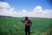 Kaber farm, Irrigating fields 037 thumbnail