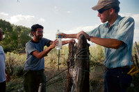 Kaber farm, Making chicos 037 thumbnail