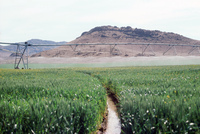 Torres ranch, Landscapes 009 thumbnail