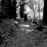 Teenage girl walking down a forested path thumbnail