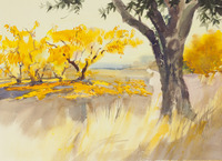 02 Olive, Peaches and Pomegranites thumbnail