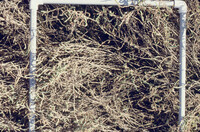 Pt. Mugu Wetlands thumbnail