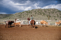 Colorado rural life 039 thumbnail