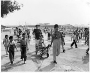 Baby parade. thumbnail