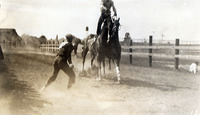 Person straddling two horses thumbnail