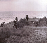 Coastal Dune Restoration thumbnail