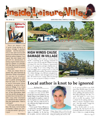 Inside Leisure Village Vol. 38 No. 11 thumbnail