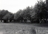 Irrigation canals and landscapes 022 thumbnail