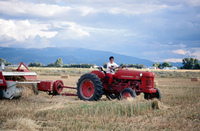 Kaber farm, Tractor driving 015 thumbnail
