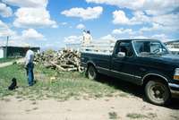 Kaber farm, Woodpile and fields 005 thumbnail