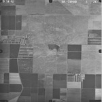 1992 BR-CVHAB 5-243 [Fresno County, California, aerial survey, 1992] thumbnail