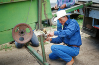 Torres ranch, Cattle drive 043 thumbnail