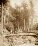 Mountain Bridge, 1891 thumbnail