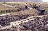 Pt. Mugu Wetlands thumbnail