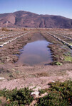 Pt. Mugu Wetlands thumbnail