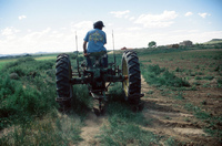 Tractor plowing and irrigation ditch 003 thumbnail
