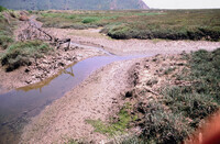 Pt. Mugu Wetlands thumbnail