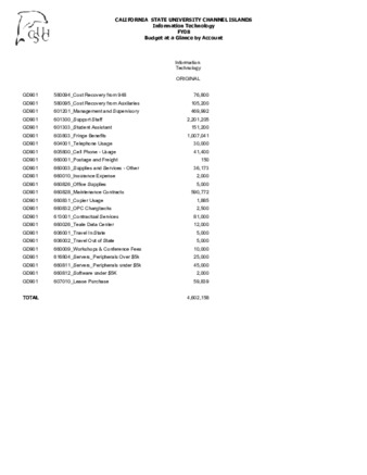 Information Technology 2008-2009 Budget by Account thumbnail