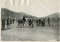 Students judging Clydesdale mare 'Fair Helen' thumbnail