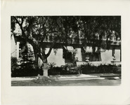 Photograph of the Minerva Club thumbnail