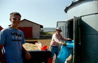 Kaber farm, Grain harvest 001 thumbnail