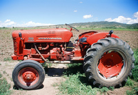 Kaber farm, Weed whacking 037 thumbnail