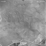1950 ABI-19G-156 [Fresno County, California aerial survey, 1950]. thumbnail