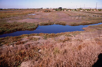 Pt. Mugu Wetlands thumbnail