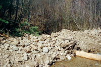 Maistas farm, Ditch and cattle 026 thumbnail