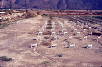 Pt. Mugu Wetlands thumbnail