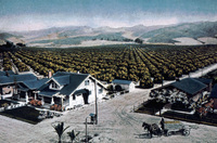 Limoneira Ranch thumbnail