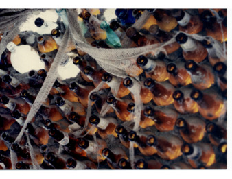 Orange Bottles Embedded in a Structure at Bottle Village #1 thumbnail