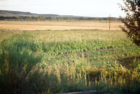 Irrigation ditch 015 thumbnail