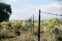 Kaber farm, Making chicos 052 thumbnail