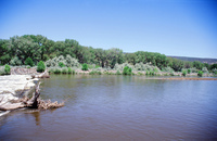 Kaber farm, Volunteers and animals 007 thumbnail