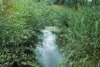 San Luis Valley farms 083 thumbnail